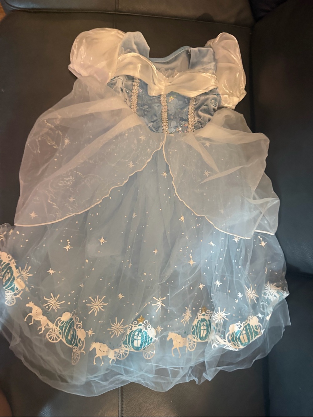Cinderella costume for girls
